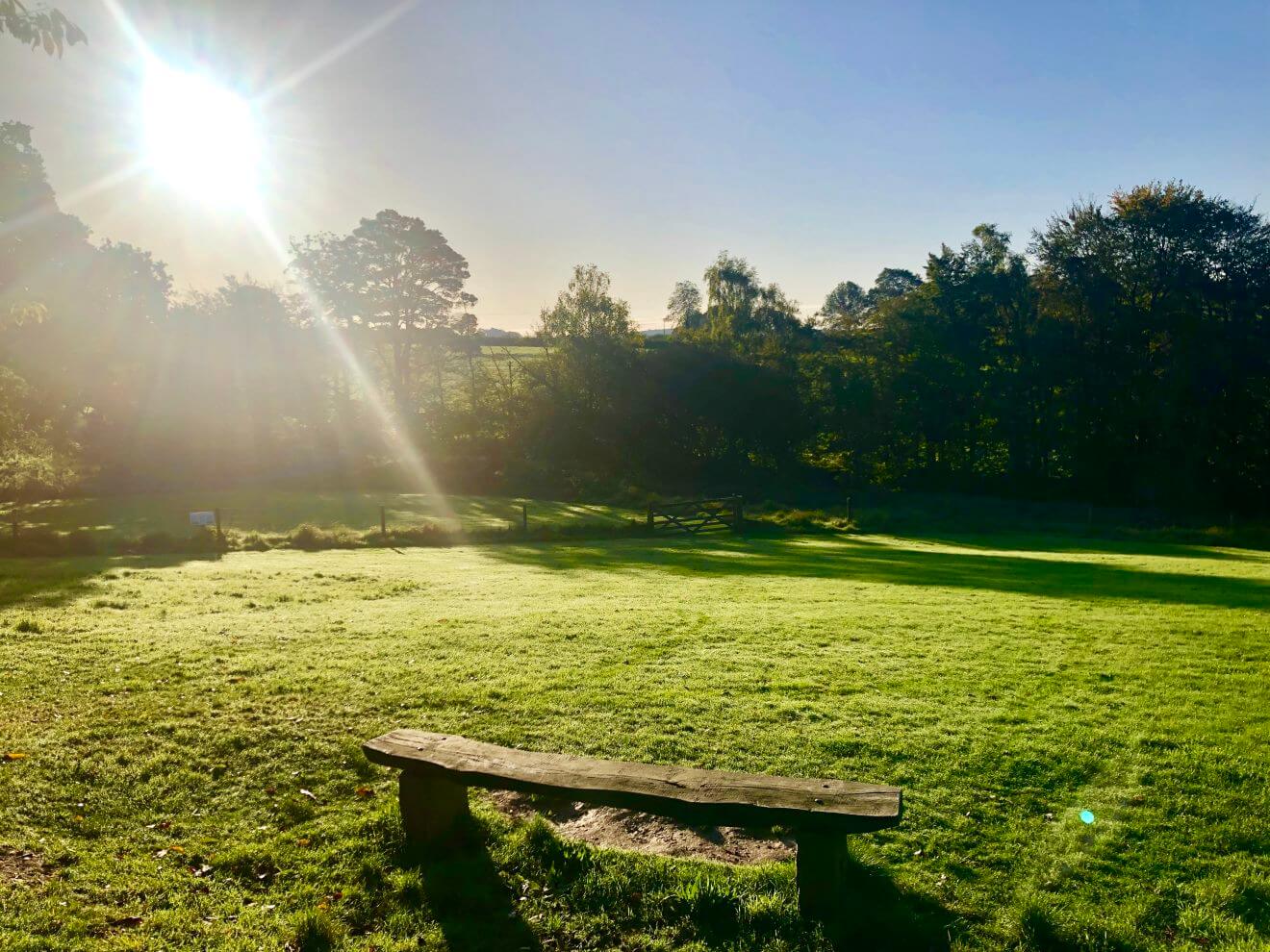 Woodovis Park Image 8