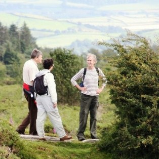 Woodovis-Park-camping-touring-devonWoodovis-Park-camping-touring-devon-Dartmoor walks this way