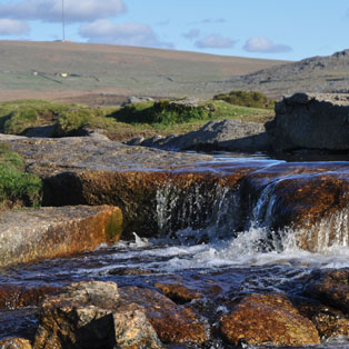 woodovis-park-camping-touring-devon-image-nav-camping-photos