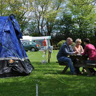 woodovis-park-camping-touring-devon-image-nav-camping-pitches-02