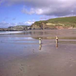 woodovis-park-camping-touring-devon-out-&-about-challaborough