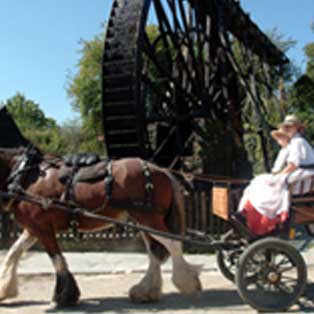 woodovis-park-camping-touring-devon-out-&-about-morwellham-quay