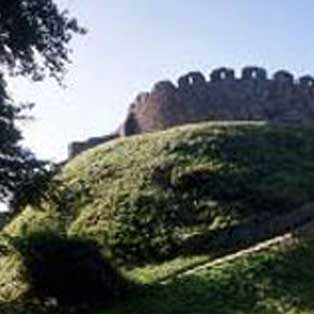 woodovis-park-camping-touring-devon-out-&-about-totnes-castle