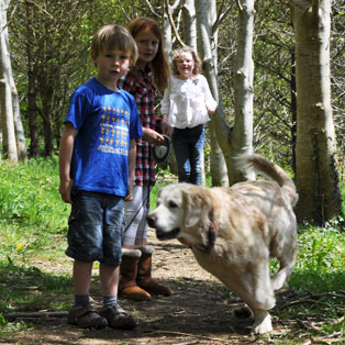 woodovis-park-camping-touring-devon-the-park-facilities-dog-walking